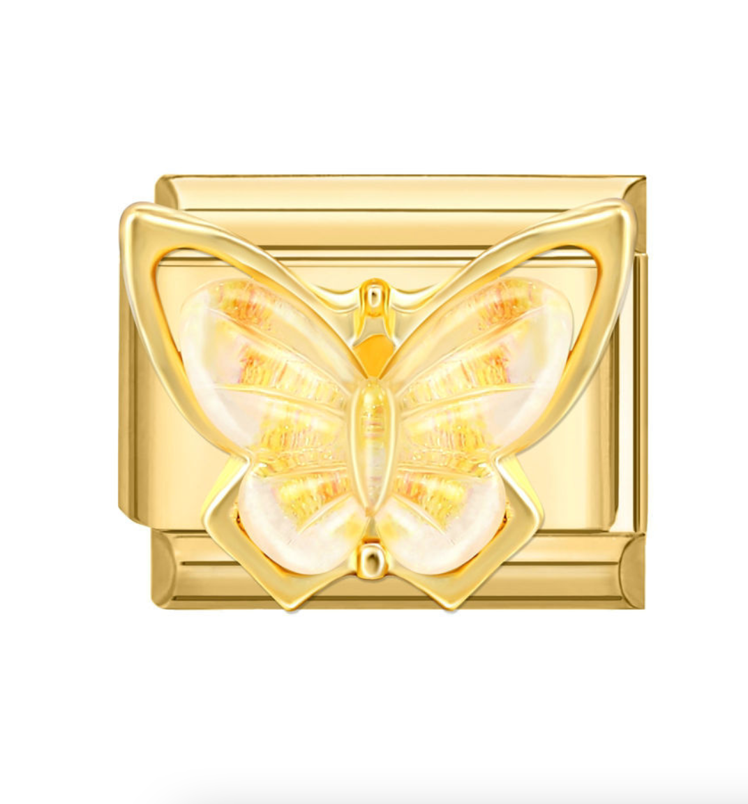 3974_cd Charm sommerfugl